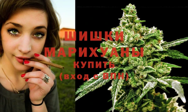 винт Няндома